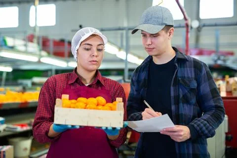 Workers of fruit storage and sorting facility talking about work process Stockfoto's