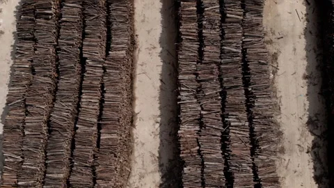Workers gather and arrange logs in Bavarian Forest in Germany Stock Footage 325632057