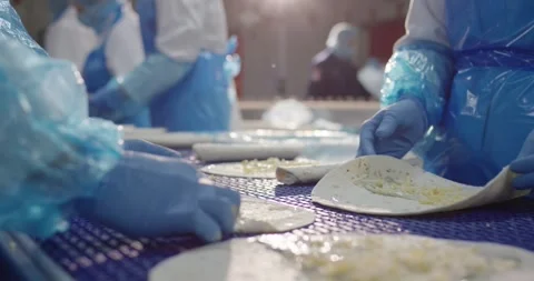 Workers in gloves rolling cheese filled tortilla wraps on a food line, Close Up Video stock 340034552