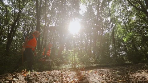 Workers Go To Work. Loggers. Forest. Stockbeeldmateriaal 101173397