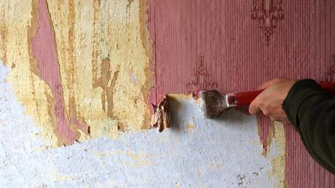 A worker's hand with a scraper cleans the old wallpaper Stock Photos