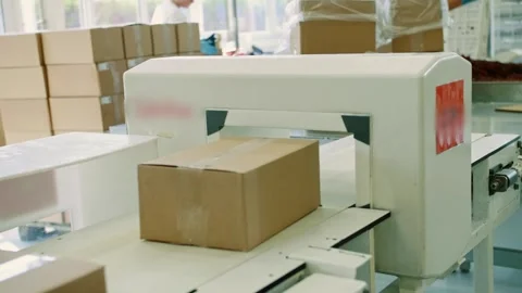 Workers handling cardboard boxes on conveyor in industrial packaging facility Stock Footage 340604496