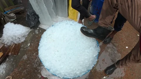 Workers Handling Crushed Ice in a Large Container Vidéo 343154932