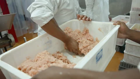 Workers Handling Ground Meat Mixture in Plastic Trough Stock Footage 341309210