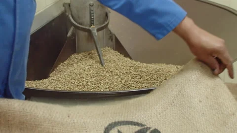 Workers hands checking coffee grains in roasting machine Stock Footage 160103194