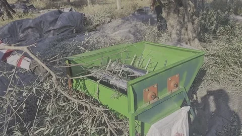 Worker’s Hands Operating Olive Harvesting Machine for Oil Production 스톡 동영상 317240740