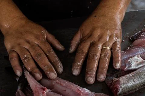 Worker's hands preparing fish in Valparaíso port Stock Photos