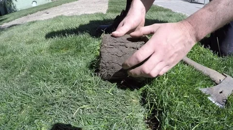 Workers hands roll small turf grass for a new lawn Stock Footage 62707827