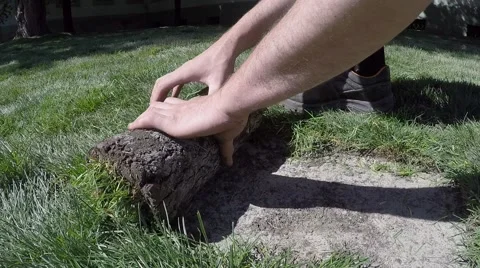 Workers hands roll turf grass Stock Footage 62707939