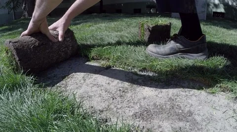 Workers hands unroll turf grass and hitting an ax on the grass Stock Footage 62708063