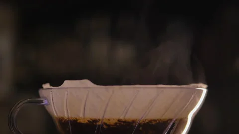 Workers harvesting coffee beans Stock Footage 196185599