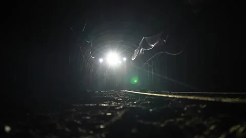 Workers with helmets and equipment walking in chrome mine tunnel Stock Footage 241720338