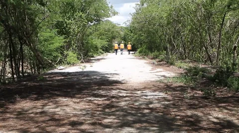 Workers on industrial area planning a construction field Stock Footage 33757198