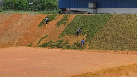 Workers Installing Close Turfing for Slope Erosion Control 動画素材 335976017