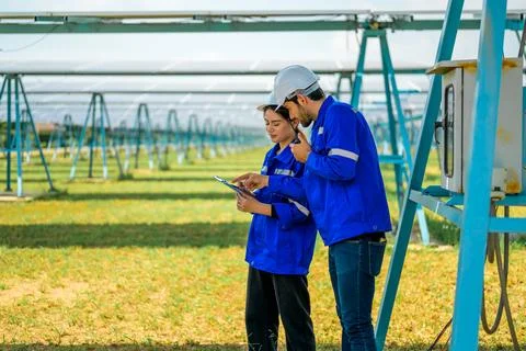 Workers installing solar panels, Engineer team at solar panel farm Foto stock
