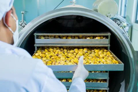 Workers labor in a tea processing factory in Gia Lai, Vietnam Stock Photos