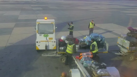 The Workers Load Cargo Stock Footage 87088058