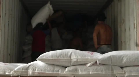 Workers Loaded Sacks Into The Container Video stock 61490513