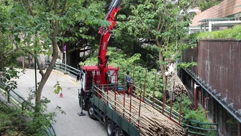 Workers loading bamboos into a truck, which are used as Scaffolding in Hong K Stock Footage 150639527