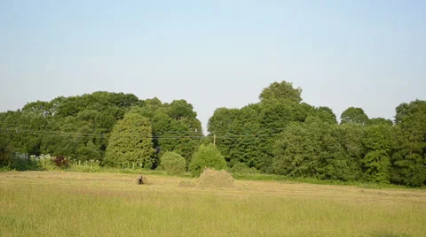 Workers loading with fork hay in stack in the middle the field Vídeos de archivo 38081715
