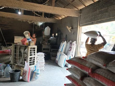 Workers Loading Rice Sacks Inside Traditional Rice Mill Factory Stock Photos