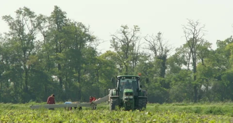 Workers loading tractor with help of conveyor belt, Vienna, Austria Stock-Footage 141436072