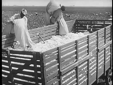 Workers loading truck with bales of cotton, 1940s Video stock 64630081