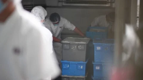 Workers loading truck with white uniform at food factory. Stock Footage 118806565