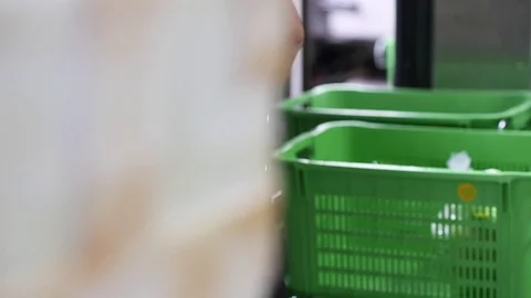 Workers loading veggie on truck. Stock Footage 118801804