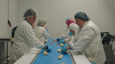 Workers make dumplings, hand-made dumplings on the conveyor Stock Footage 327621326