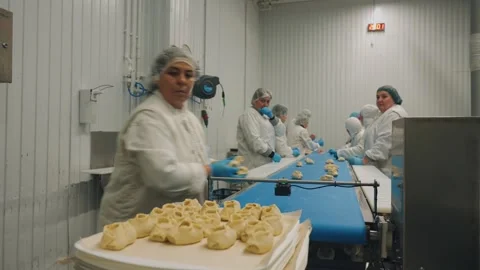 Workers make dumplings, hand-made dumplings on the conveyor Stock Footage 327621329