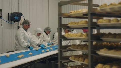 Workers make dumplings, hand-made dumplings on the conveyor Stock Footage 327621341
