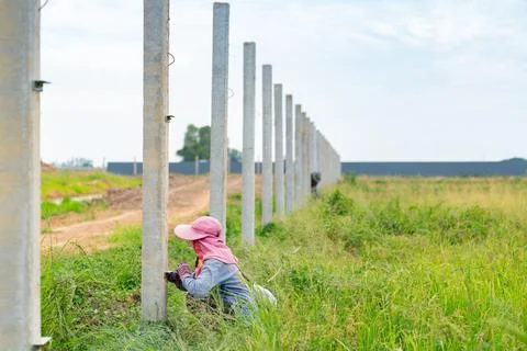 Workers measure the pole level to install metal sheet fences. Stock-Fotos