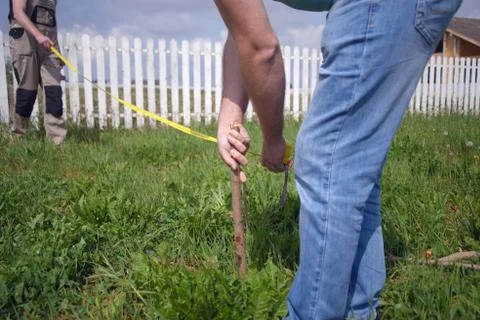 Workers measuring land with a ruler Photos