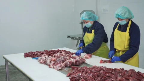 Workers in meat factory preparing fresh meat for delivery to stores.Food factory Stock-Footage 131861578