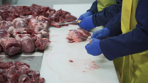 Workers in meat factory preparing fresh meat for delivery to stores.Food factory 스톡 동영상 131862640