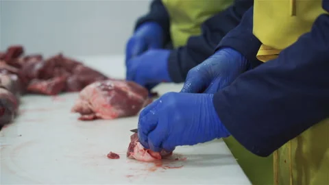 Workers in meat factory preparing fresh meat for delivery to stores.Food factory Stockbeeldmateriaal 131862659