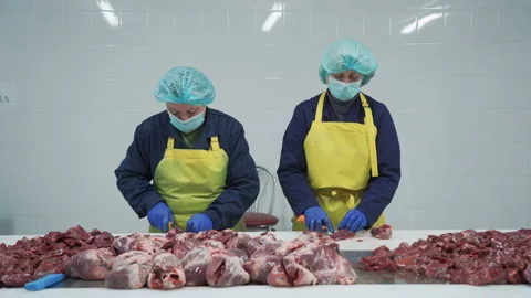 Workers in meat factory preparing fresh meat for delivery to stores.Food factory Vídeos de archivo 131862872