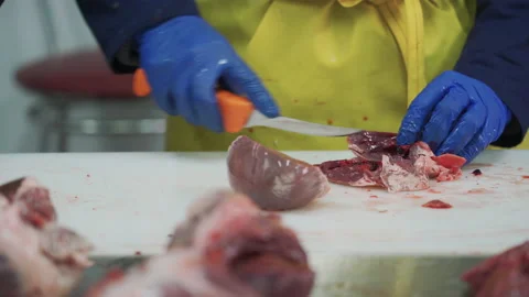 Workers in meat factory preparing fresh meat for delivery to stores.Food factory Stock Footage 131863209