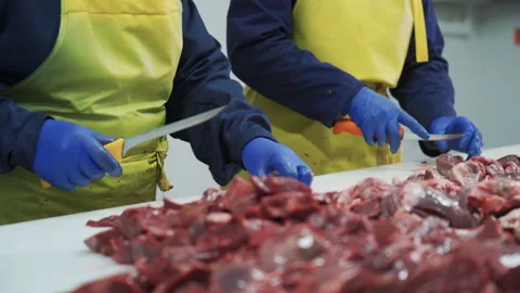 Workers in meat factory preparing fresh meat for delivery to stores.Food factory Vidéo 131863360