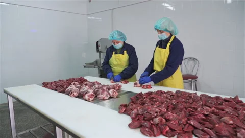 Workers in meat factory preparing fresh meat for delivery to stores.Food factory Vídeo Stock 131863725