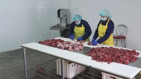 Workers in meat factory preparing fresh meat for delivery to stores.Food factory Vídeos de archivo 131863783