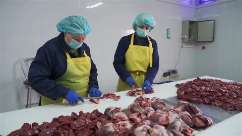 Workers in meat factory preparing fresh meat for delivery to stores.Food factory Vidéo 131864059