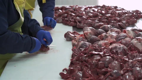 Workers in meat factory preparing fresh meat for delivery to stores.Food factory Stock Footage 131864135