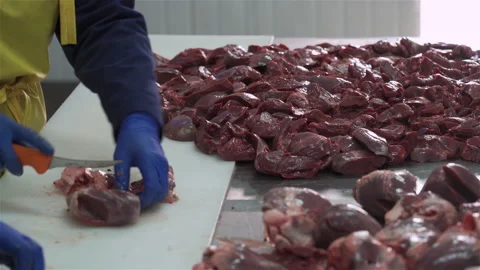 Workers in meat factory preparing fresh meat for delivery to stores.Food factory Vídeos de archivo 131864454