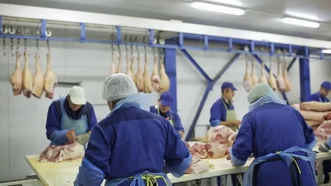 Workers of the meat-packing plant prepare fresh meat for delivery to stores and Stock Footage 82390904