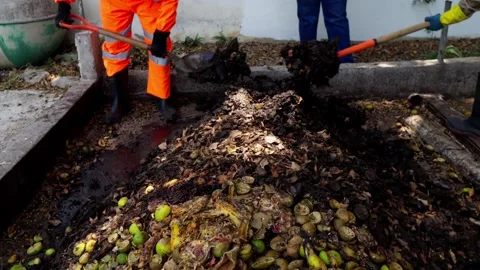 Workers Mixing Organic Waste for Composting in Agribusiness Facility Stock Footage 346612333