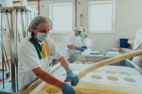 Workers in the modern industry for the processing of dairy products and the Stock Photos