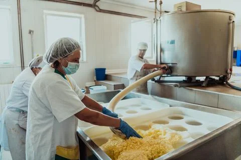 Workers in the modern industry for the processing of dairy products and the Stock Photos