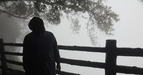 Workers In Morning Time Mist Video stock 340269267